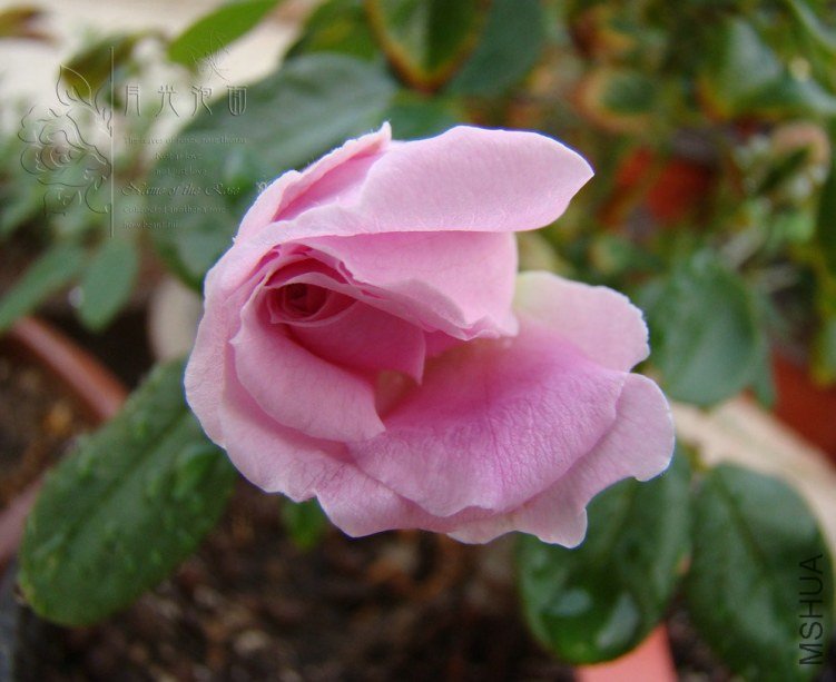 QQ��ͼ20120619155526.jpg