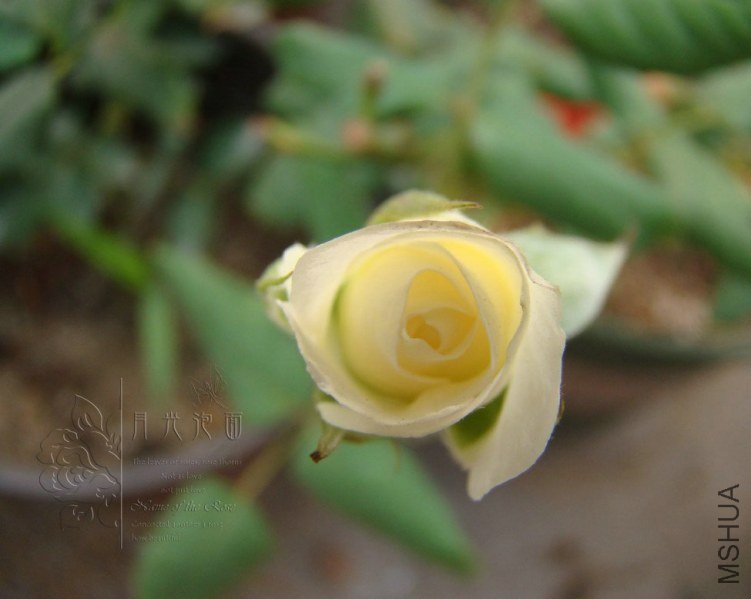 QQ��ͼ20120619155708.jpg