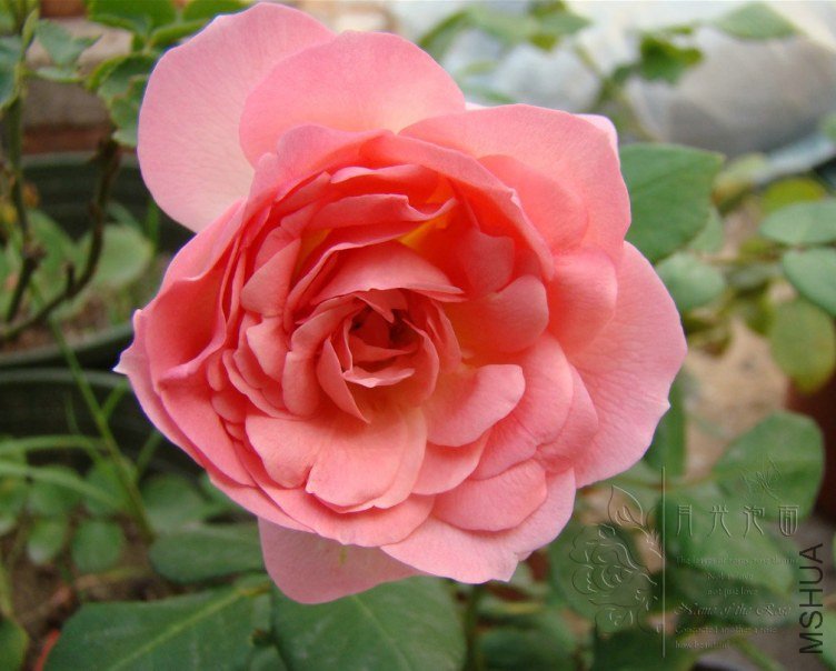 QQ��ͼ20120619155723.jpg