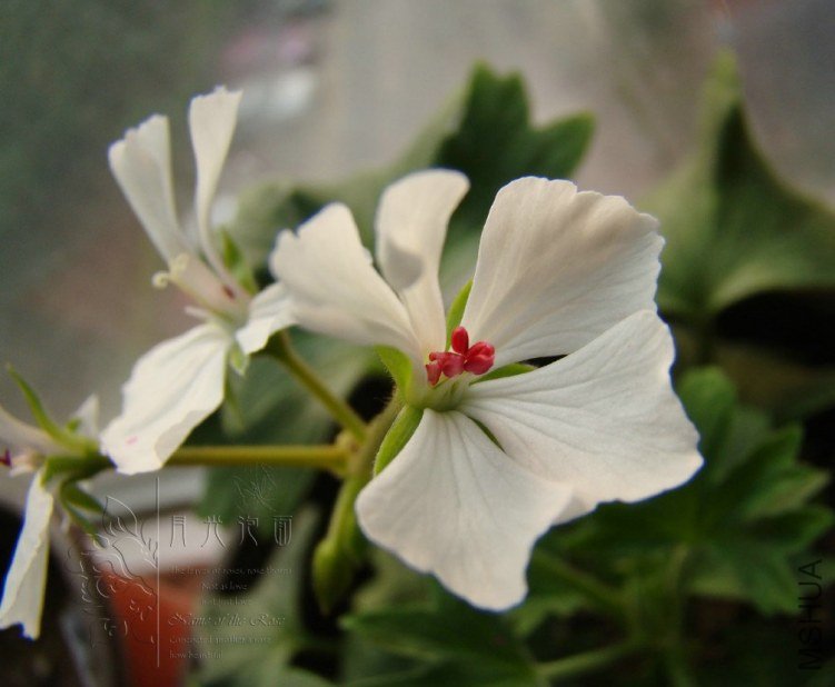 QQ��ͼ20120619154939.jpg