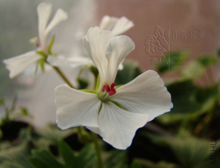 QQ��ͼ20120619154948.jpg