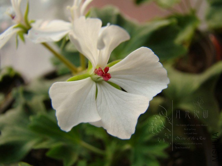 QQ��ͼ20120619154955.jpg