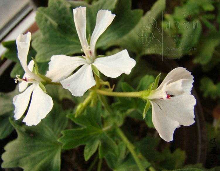 QQ��ͼ20120619155003.jpg