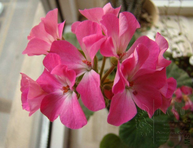 QQ��ͼ20120619155021.jpg