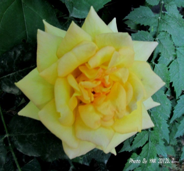 2012.6.2. 017_conew1.jpg