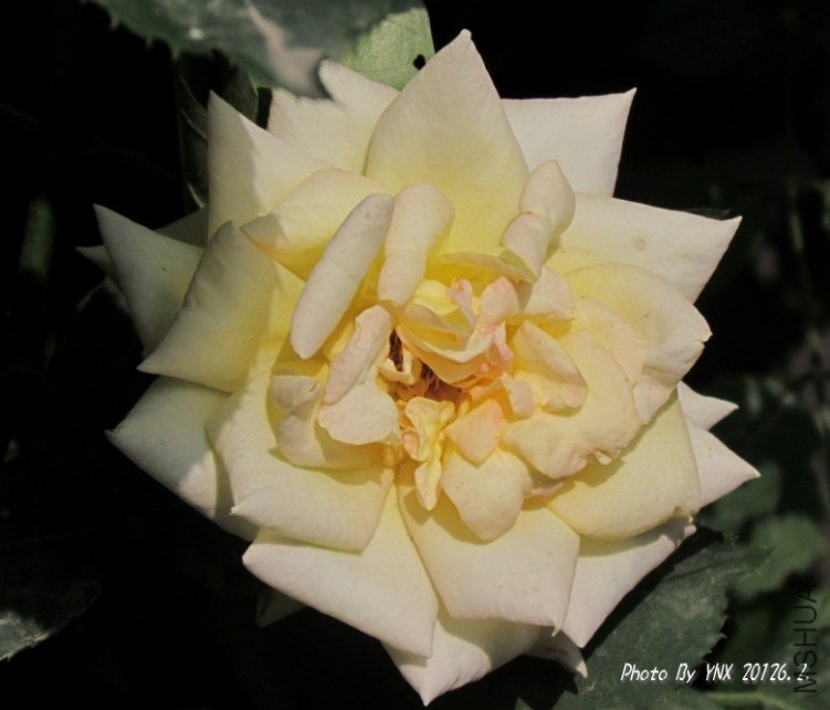 2012.6.2. 021_conew1.jpg