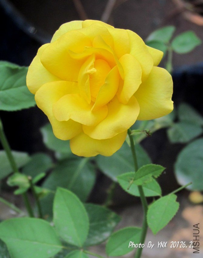 2012.6.2. 039_conew1.jpg