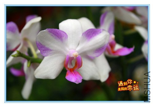 ��Ƭ 029_����3.jpg