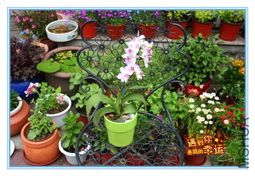 ��Ƭ 027_������1.jpg