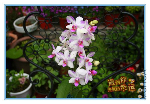 ��Ƭ 028_������2.jpg