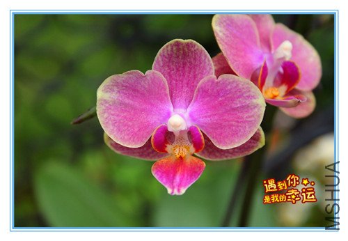 ��Ƭ 037_����6.jpg