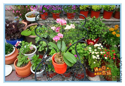 ��Ƭ 032_����4.jpg