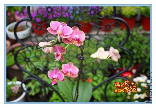 ��Ƭ 033_����5.jpg