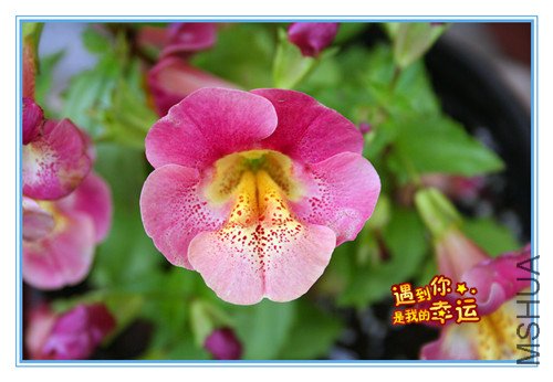 ��Ƭ 014_����3.jpg