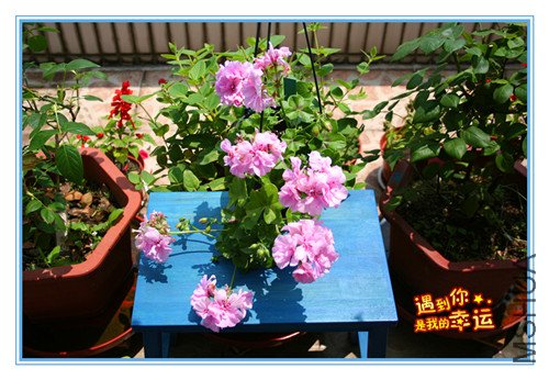 ��Ƭ 090_���������� ��ɫ.jpg