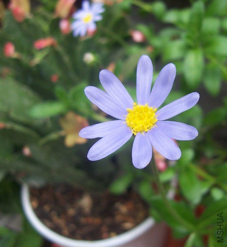 100_7655.JPG