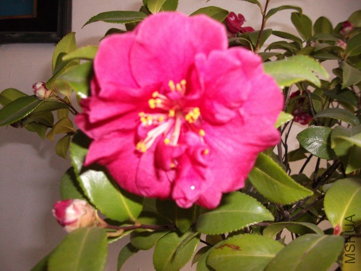 conew_��Ƭ 009.jpg
