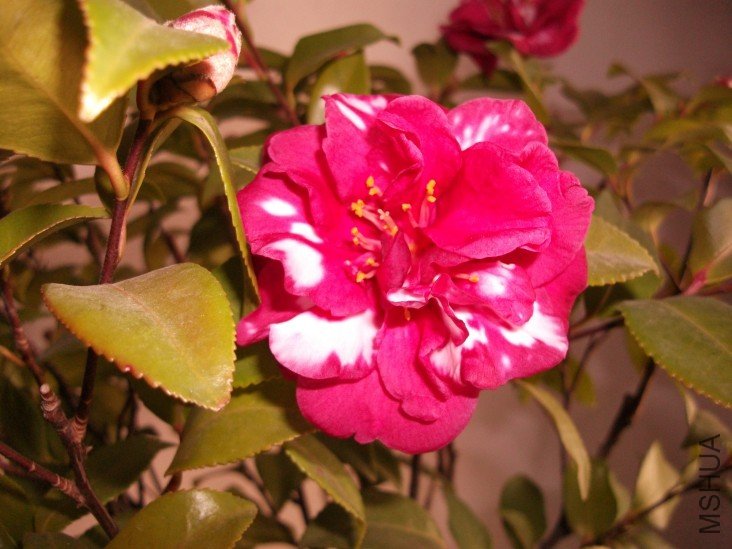 conew_��Ƭ 011.jpg