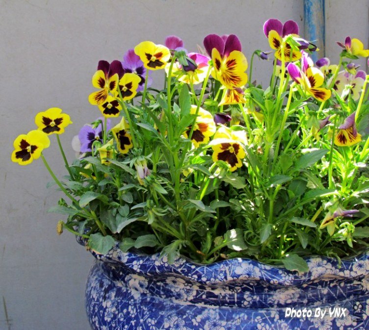 2011.5.12 014_conew1.jpg