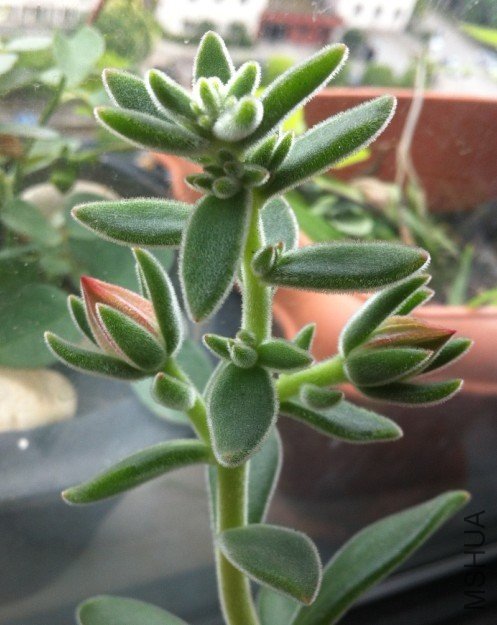 ����6-21��ʼ�����