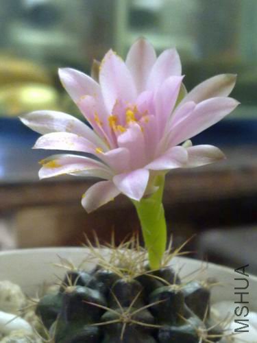 ������С 201206202627.jpg