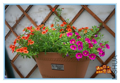 ��Ƭ 117_������.jpg