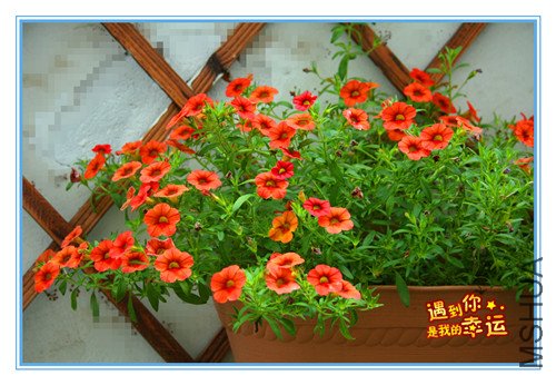 ��Ƭ 116_������.jpg