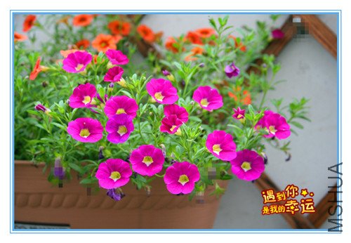 ��Ƭ 118_������.jpg