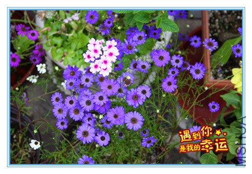 ��Ƭ 027_����2_����.jpg