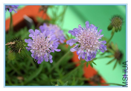 ��Ƭ 009_����2_����.jpg