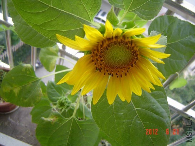 DSC00624.JPG