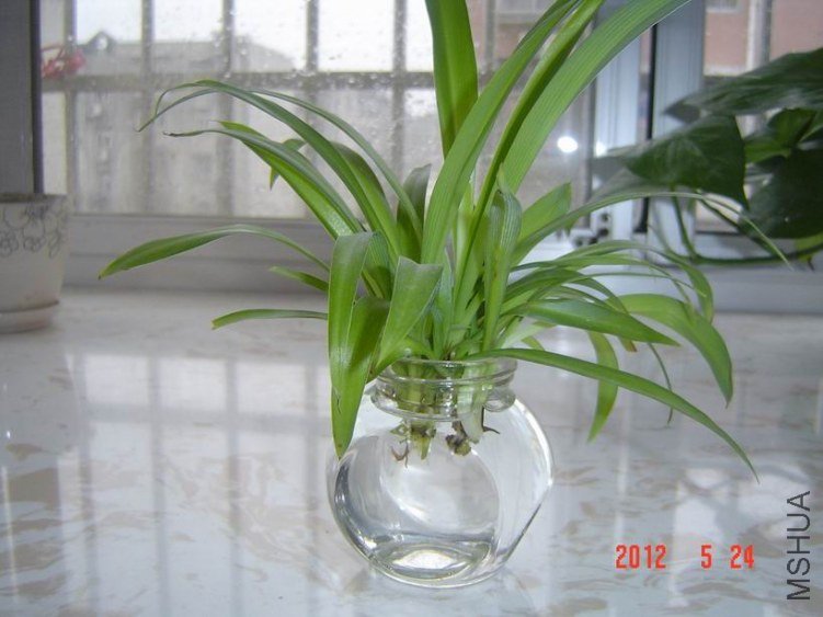 DSC00595.JPG