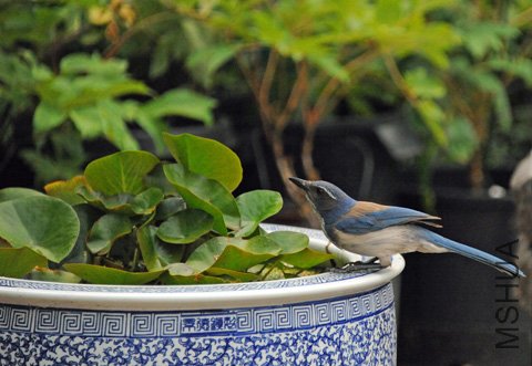DSC_3714_SS.jpg