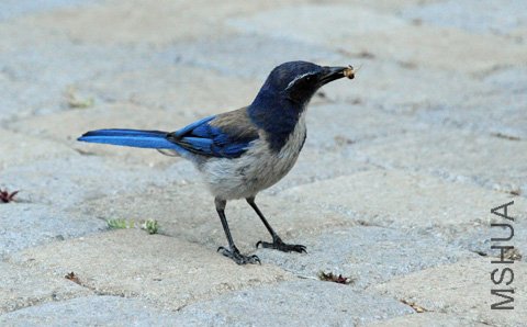 DSC_4139_SS.jpg