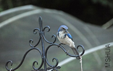DSC_4144_SS.jpg