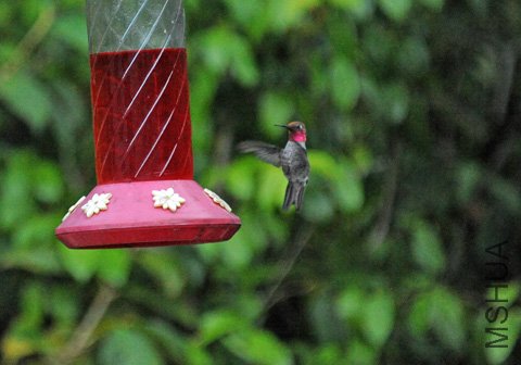DSC_4156_SS.jpg