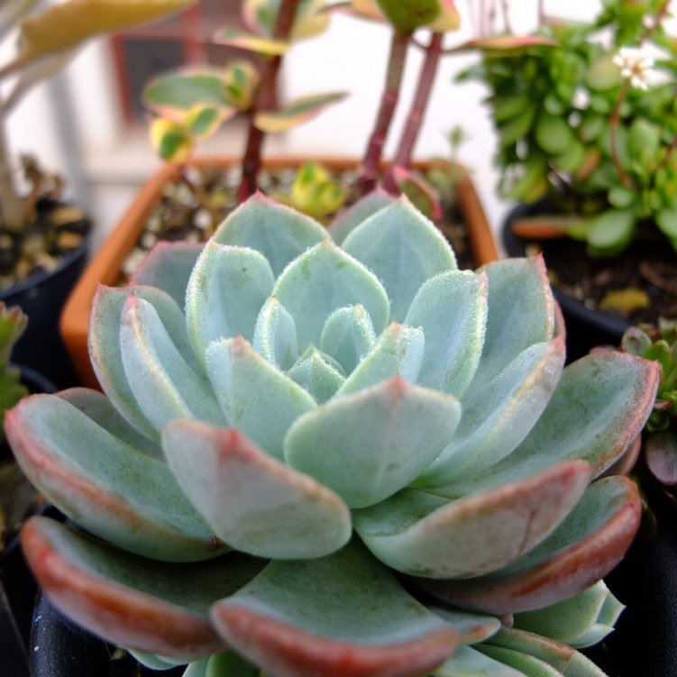 1DSCF1150.jpg