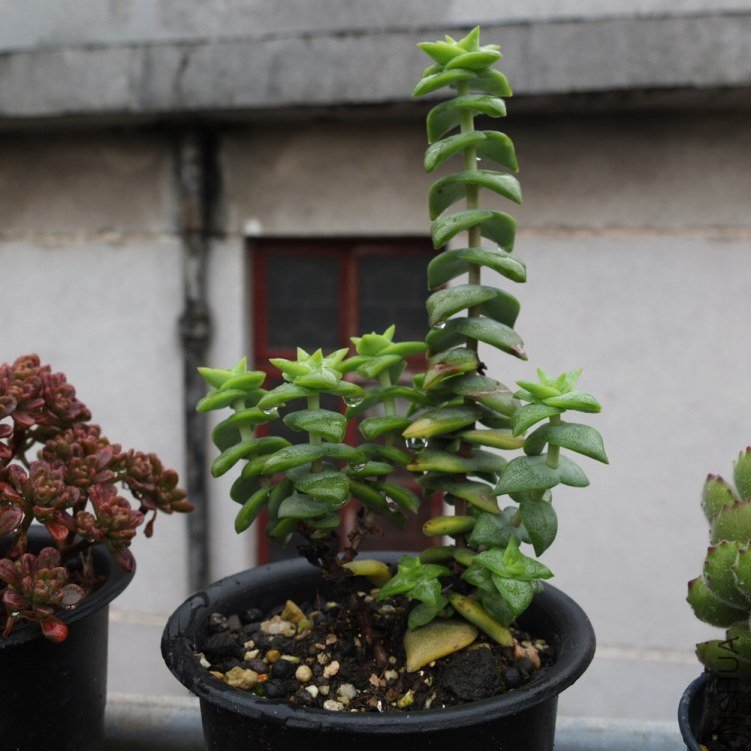 1DSCF1640.jpg