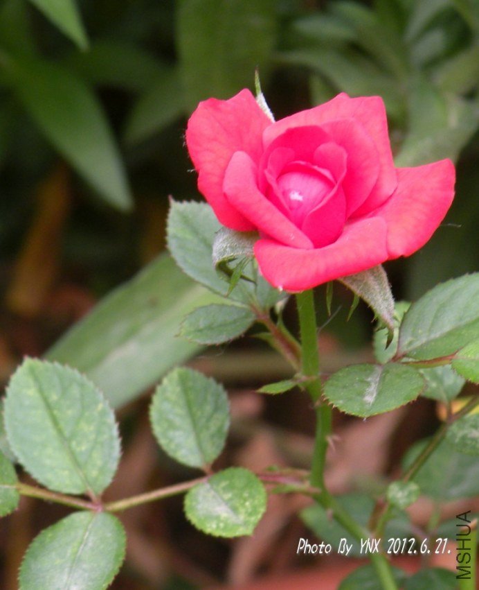 2012.6.21. 023_conew1.jpg