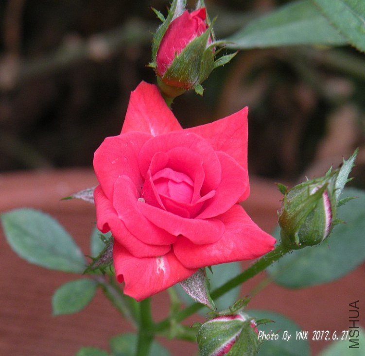 2012.6.21. 024_conew1.jpg