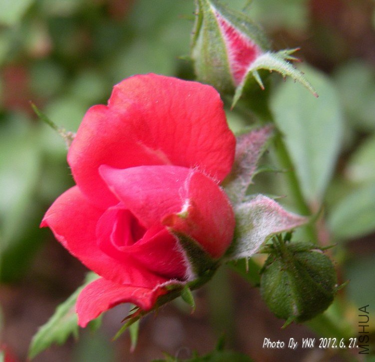 2012.6.21. 026_conew1.jpg