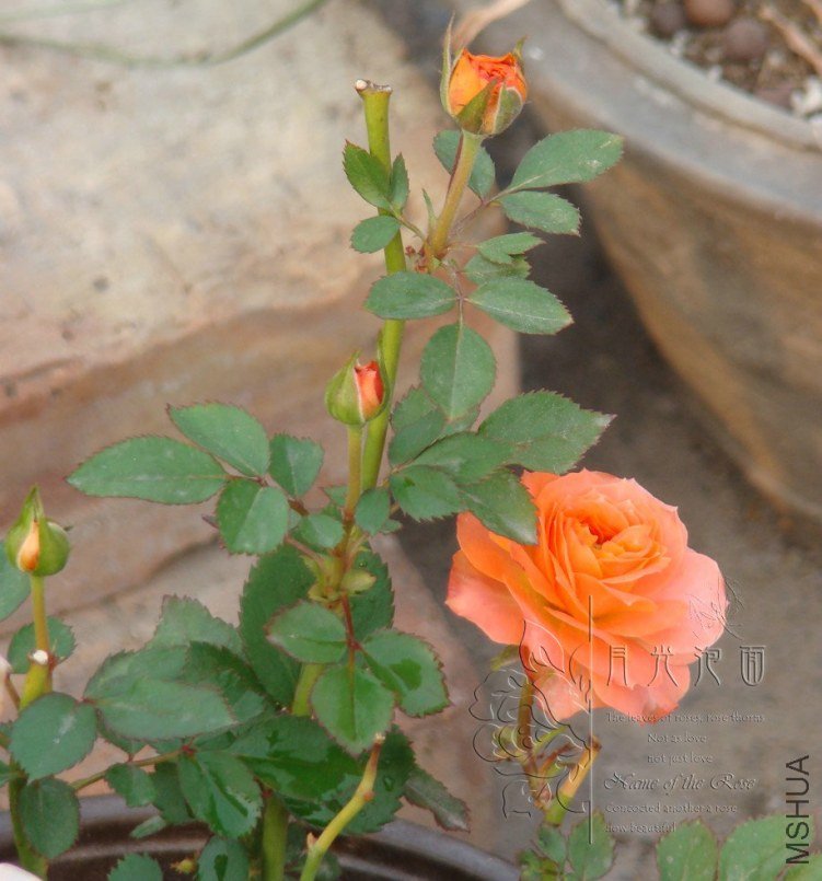 QQ��ͼ20120621212616.jpg