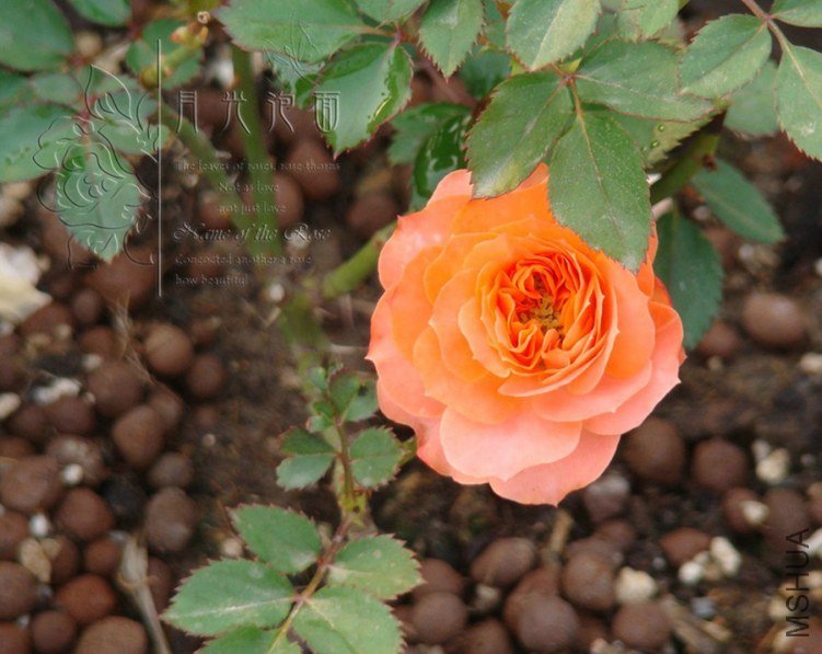 QQ��ͼ20120621212659.jpg