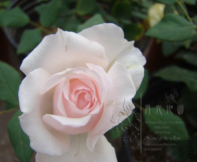 QQ��ͼ20120621212107.jpg