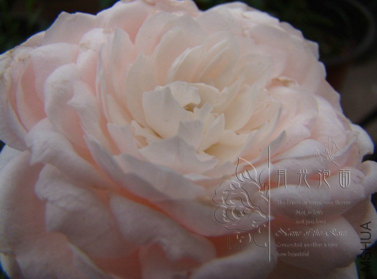 QQ��ͼ20120621212126.jpg