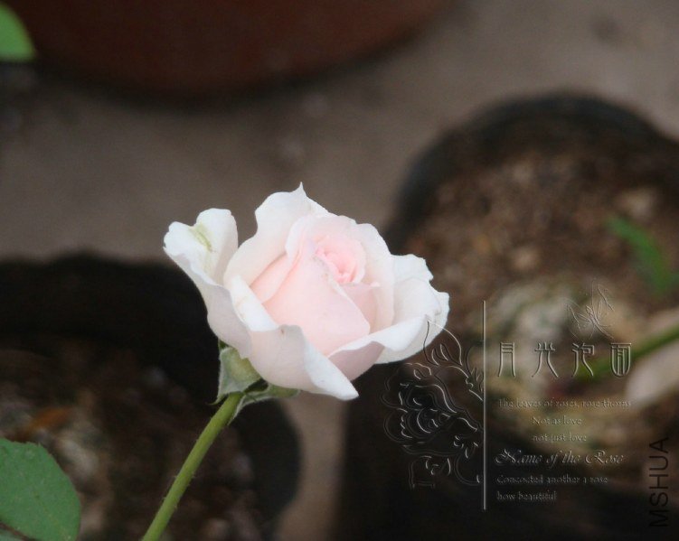 QQ��ͼ20120621212236.jpg