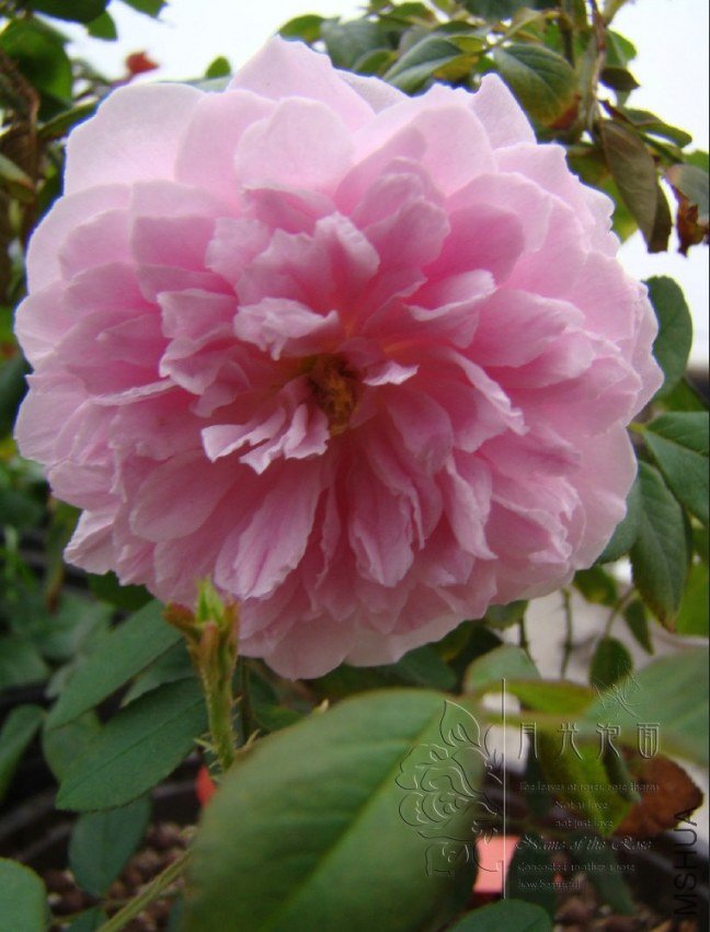 QQ��ͼ20120621212248.jpg