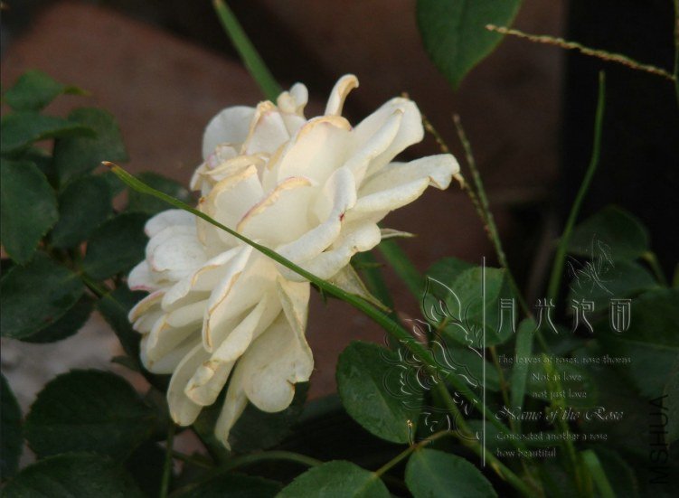 QQ��ͼ20120621212347.jpg