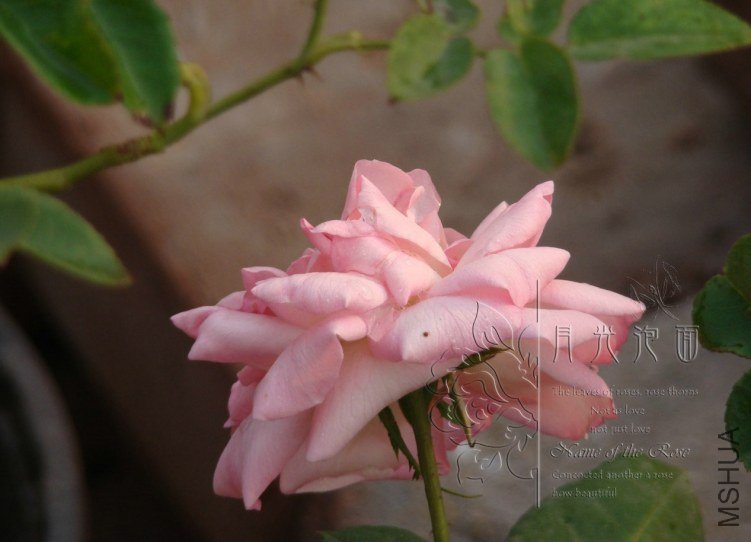 QQ��ͼ20120621212356.jpg