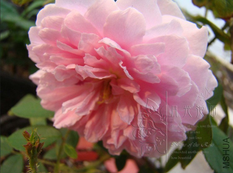 QQ��ͼ20120621212453.jpg